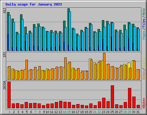 Daily usage for January 2023