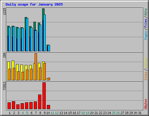 Daily usage for January 2025