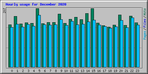Hourly usage for December 2020