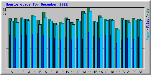 Hourly usage for December 2022