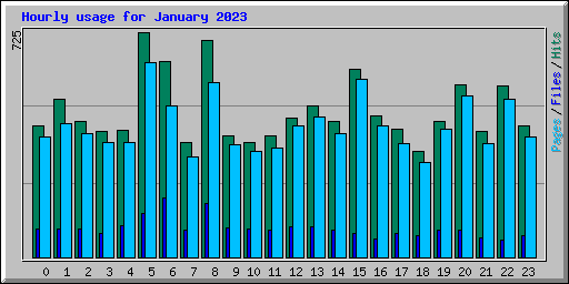 Hourly usage for January 2023