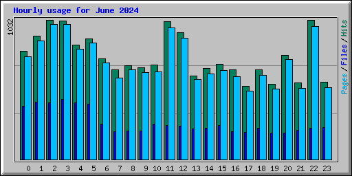 Hourly usage for June 2024