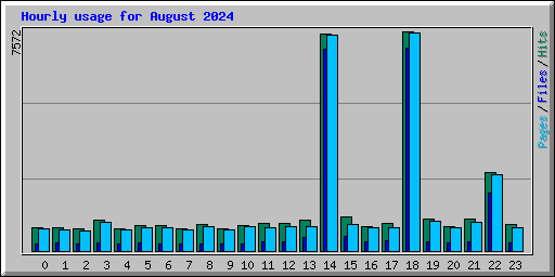 Hourly usage for August 2024