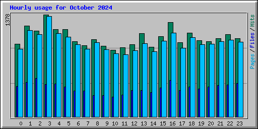 Hourly usage for October 2024