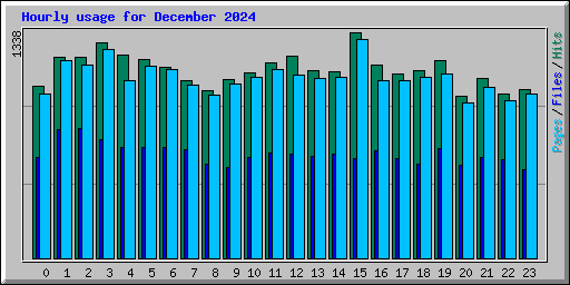 Hourly usage for December 2024