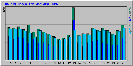 Hourly usage for January 2025