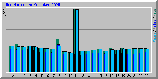 Hourly usage for May 2025