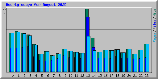 Hourly usage for August 2025