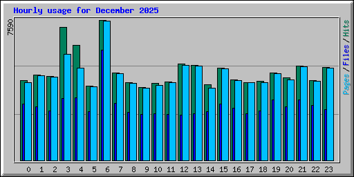 Hourly usage for December 2025