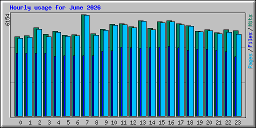 Hourly usage for June 2026